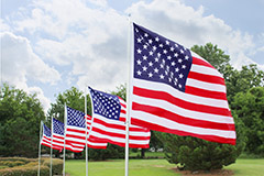 photo of flags on a grassy area